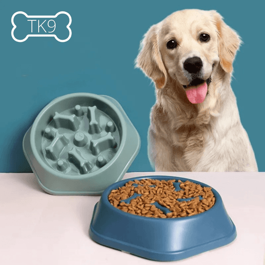 Les Gamelles Anti-Glouton : L'Essentiel des Slow Feeders pour Chiens