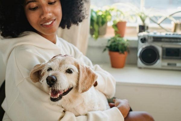 Comment Approcher un Chien : Guide Pratique pour une Rencontre Réussie