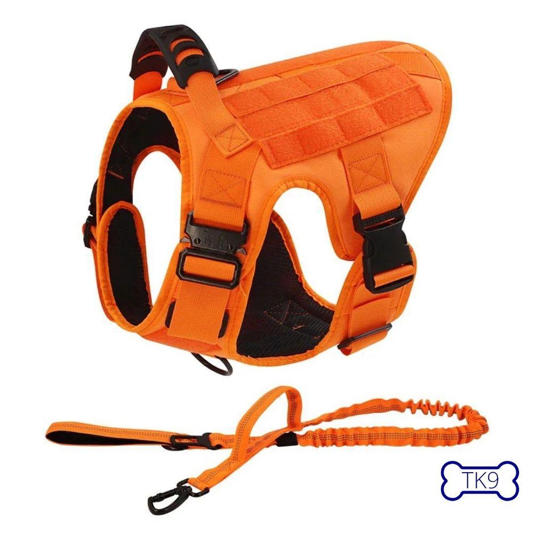 Orangefarbenes taktisches Geschirr – Anti-Pull – große Hunde