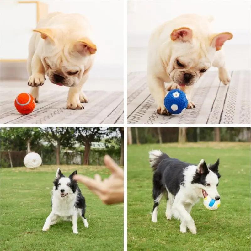 Squeaky - Jouets pour chiens en Latex naturel, balles souples et rebondissantes, pour petits, moyens et grands chiens, jouet interactif à mâcher - Tao-K9