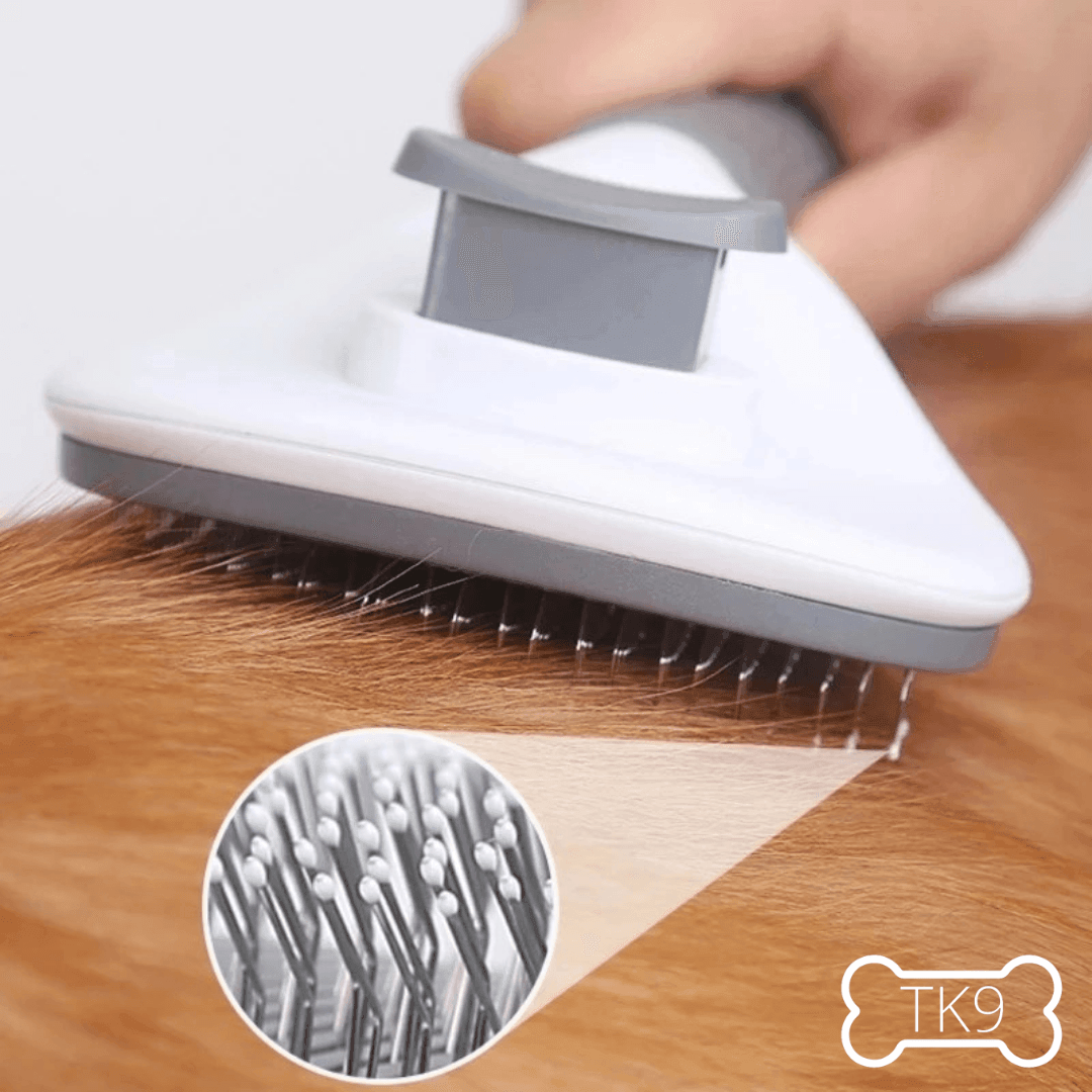Brosse autonettoyante - Peigne - Chien - Tao-K9