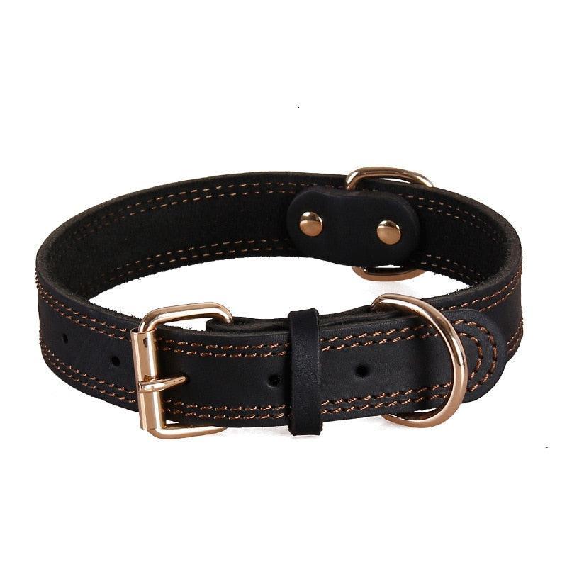 Collier en cuir - Tao-K9