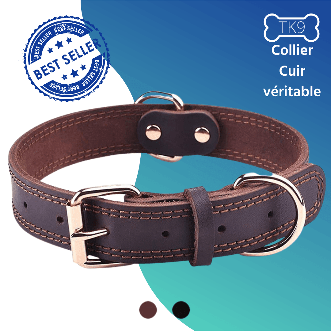 Collier en cuir - Tao-K9