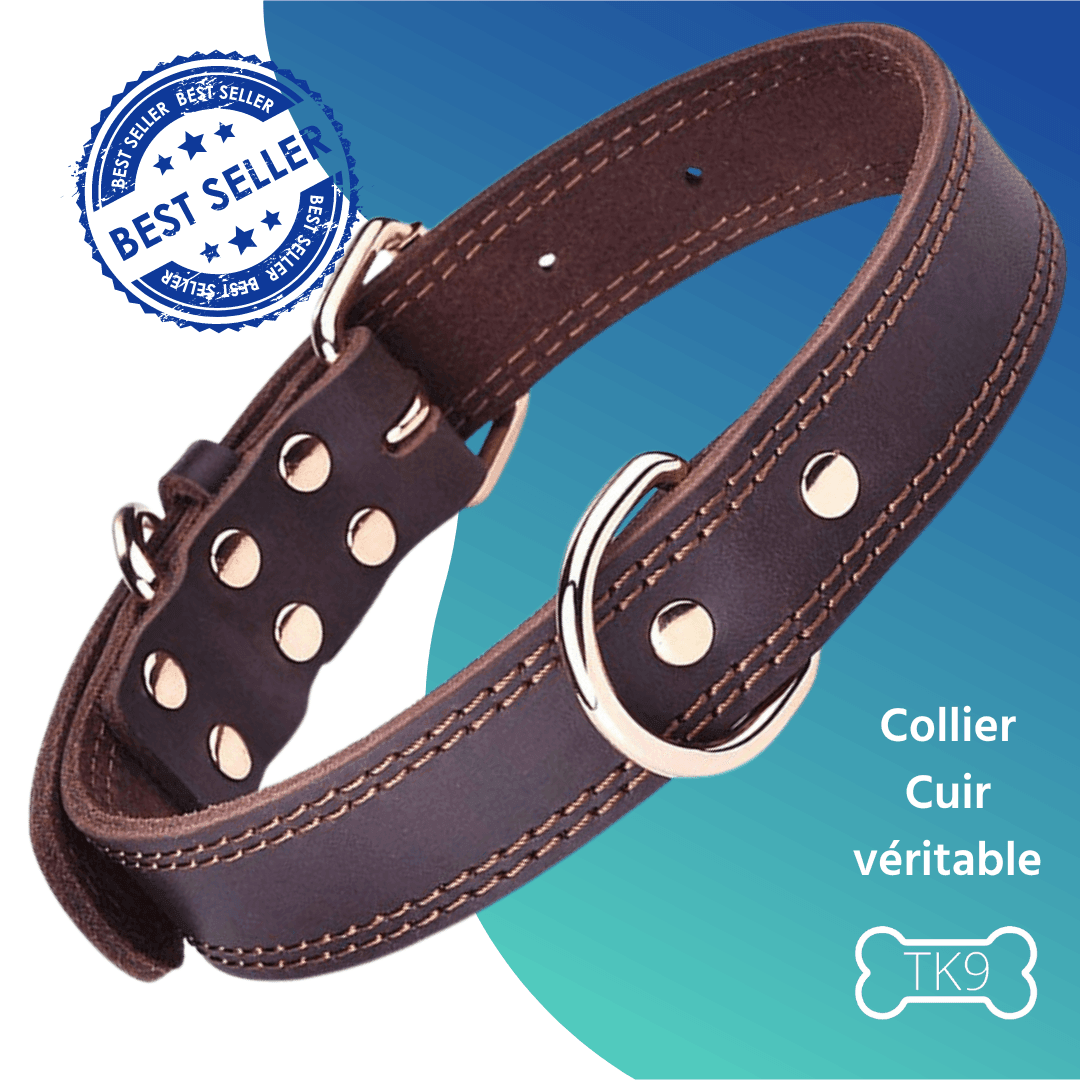 Collier en cuir - Tao-K9
