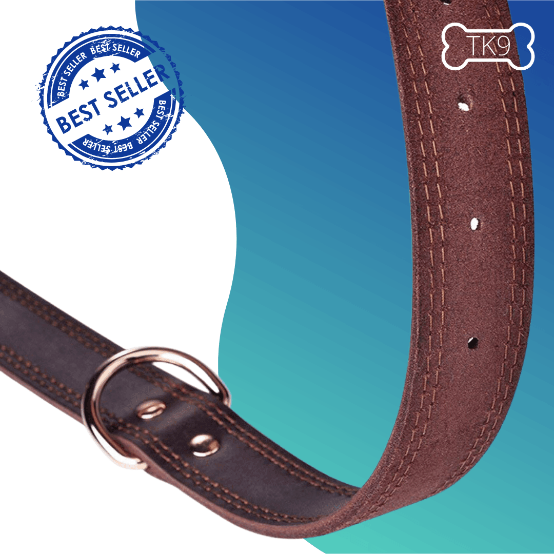 Collier en cuir - Tao-K9