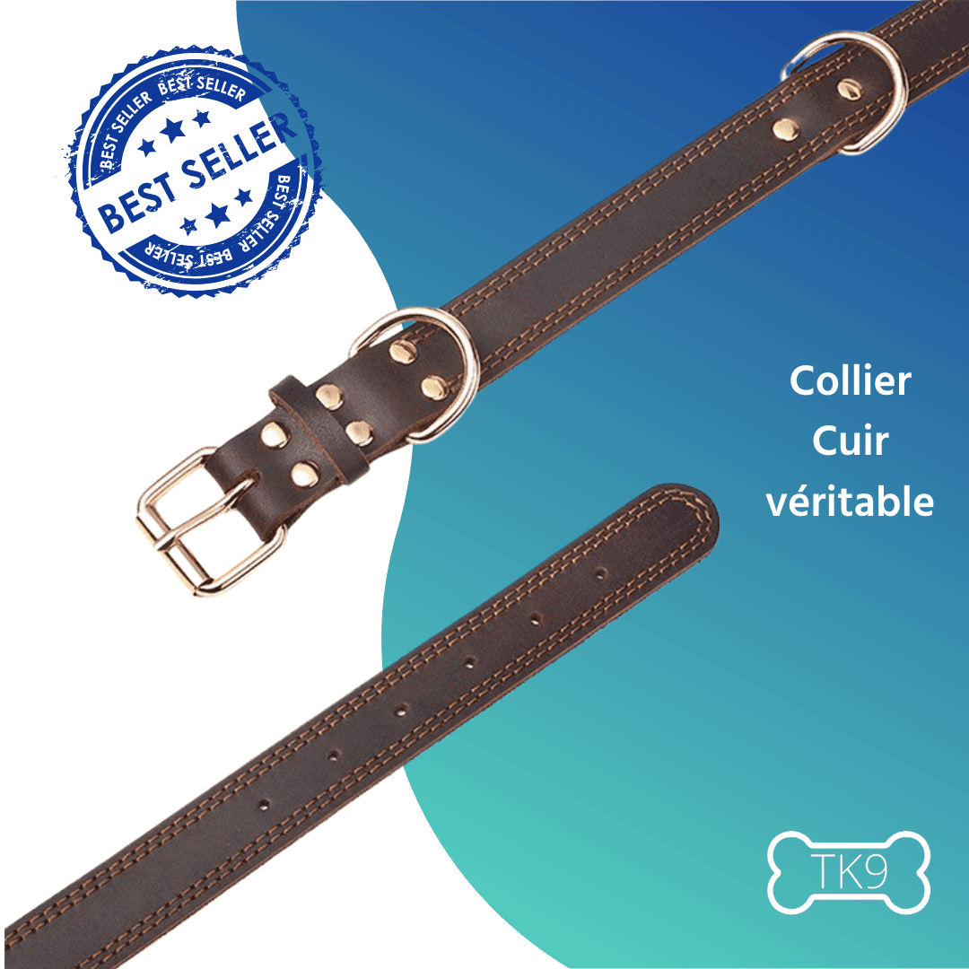 Collier en cuir - Tao-K9