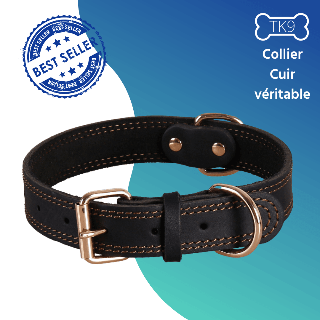 Collier en cuir - Tao-K9