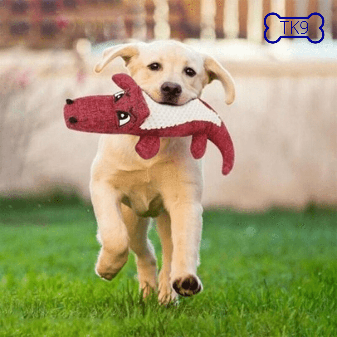 Croco - Peluche et Jouet pour chien - Tao-K9