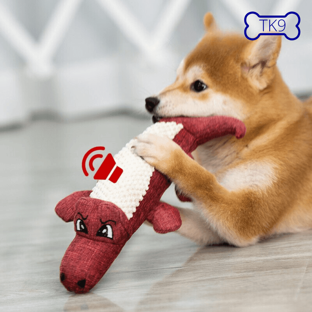 Croco - Peluche et Jouet pour chien - Tao-K9