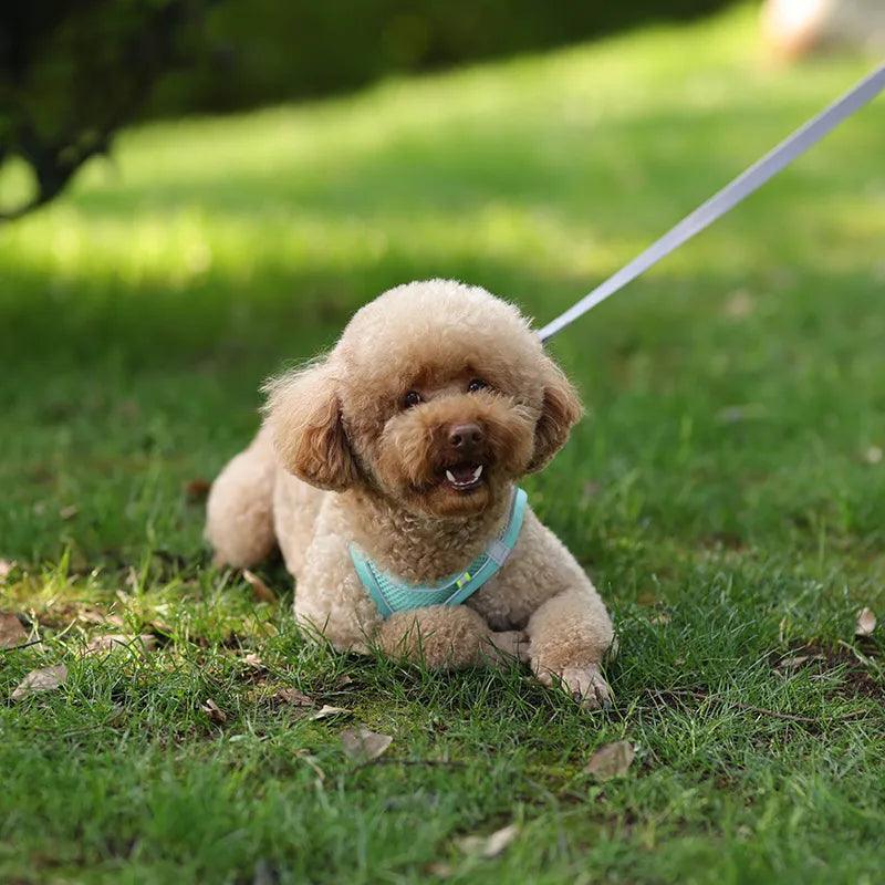 Harnais ajustable pour petit chien- French Bulldog Chihuahua Carlin Caniche - Tao-K9
