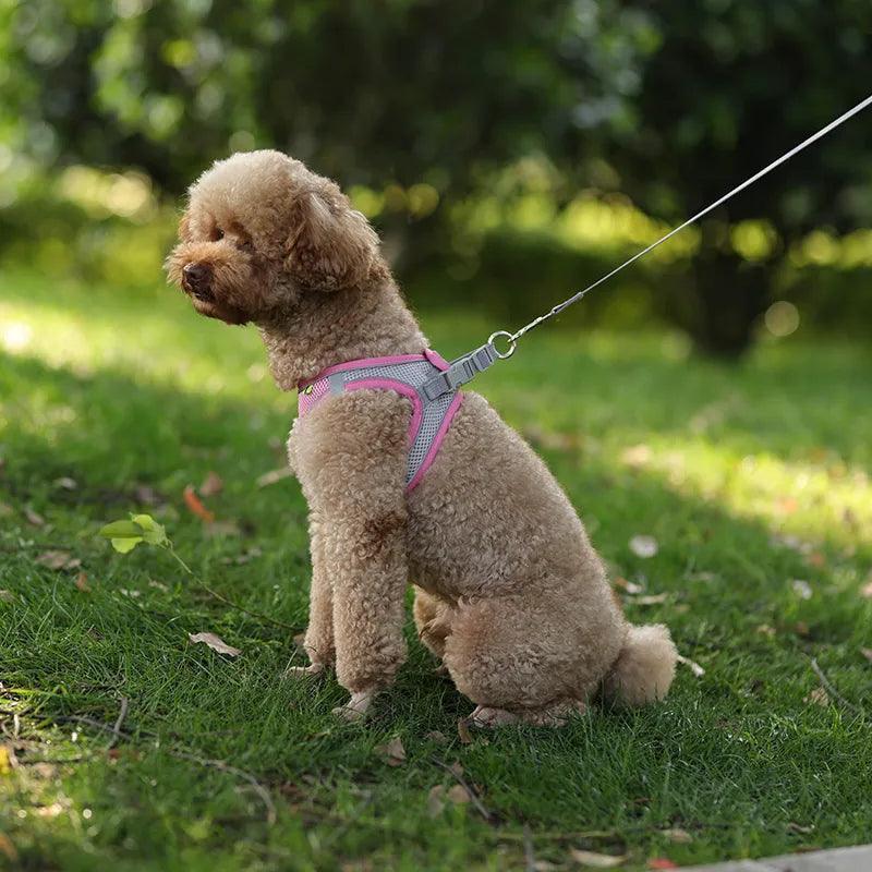 Harnais ajustable pour petit chien- French Bulldog Chihuahua Carlin Caniche - Tao-K9
