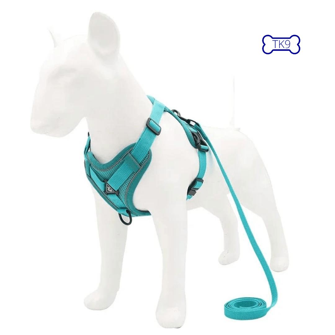 Harnais Anti Traction Petits Chiens - 2 à 10kg - Tao-K9