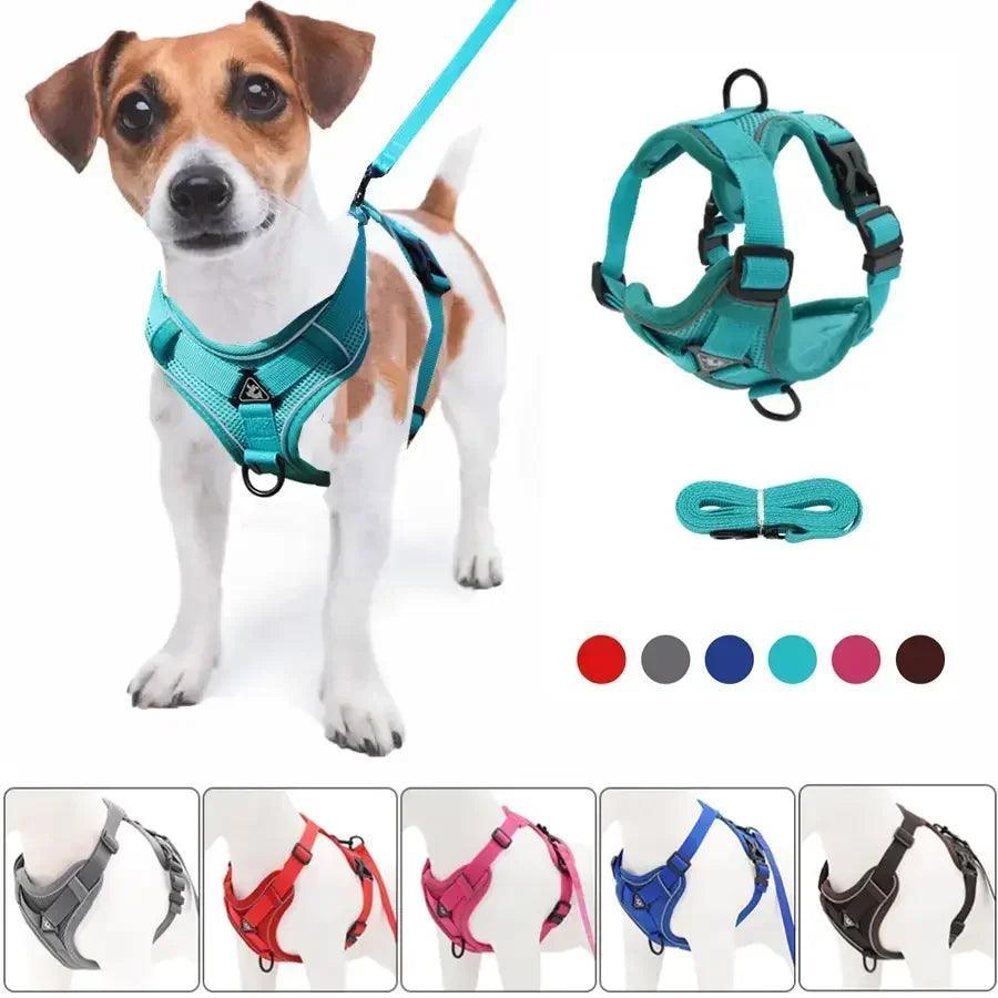 Harnais Anti Traction Petits Chiens - 2 à 10kg - Tao-K9