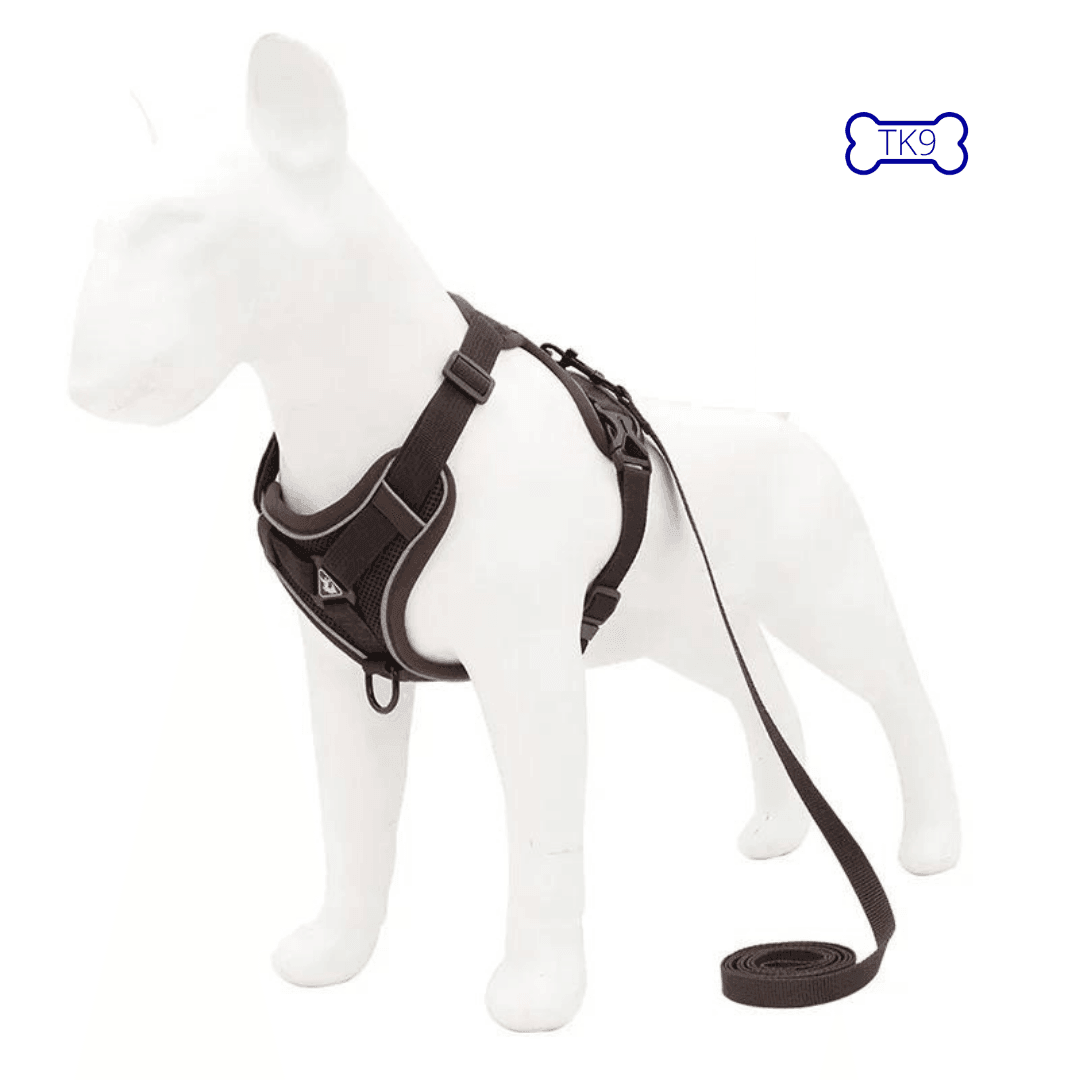 Harnais Anti Traction Petits Chiens - 2 à 10kg - Tao-K9