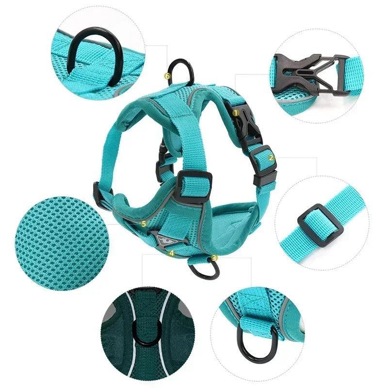 Harnais Anti Traction Petits Chiens - 2 à 10kg - Tao-K9