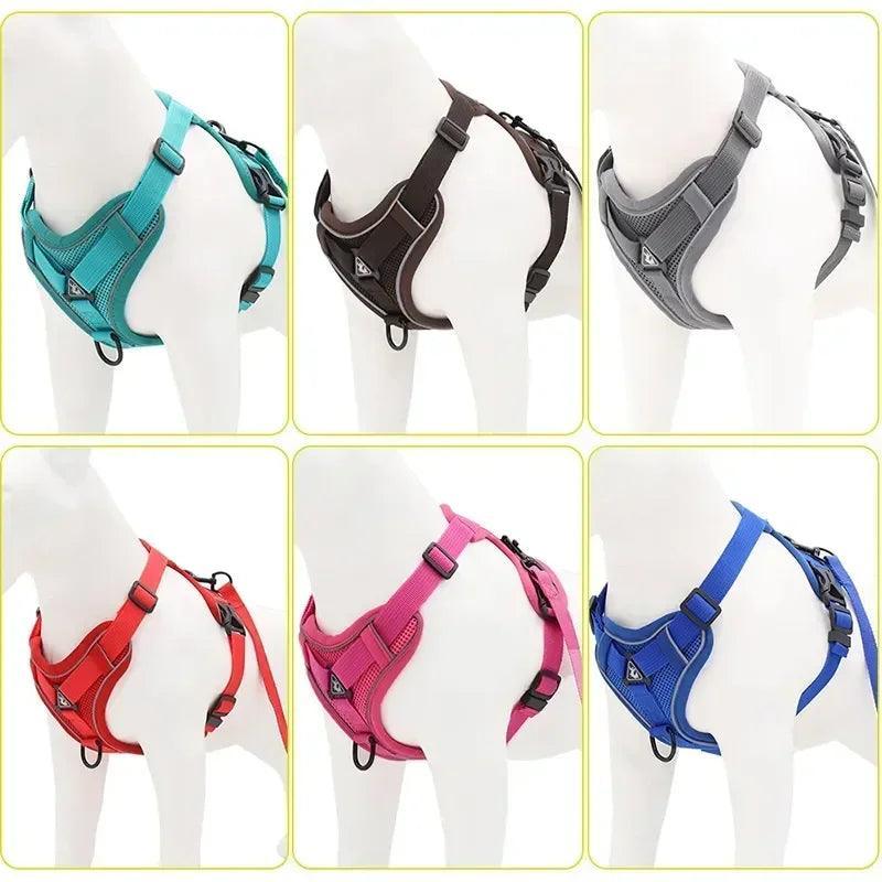 Harnais Anti Traction Petits Chiens - 2 à 10kg - Tao-K9