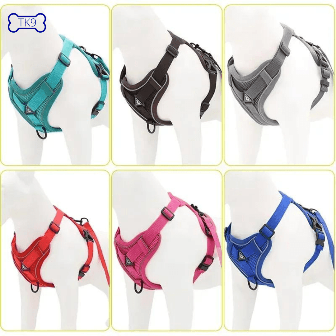 Harnais Anti Traction Petits Chiens - 2 à 10kg - Tao-K9