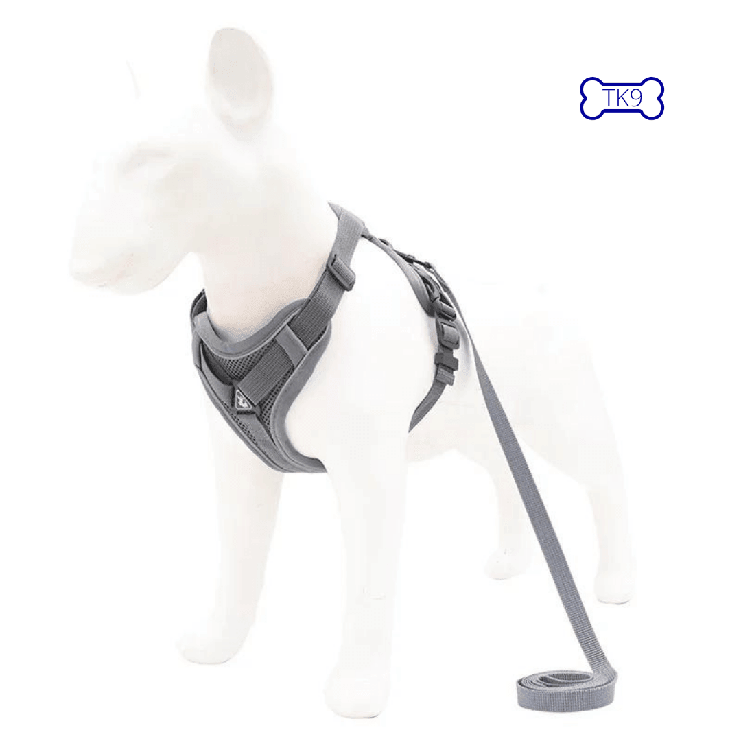 Harnais Anti Traction Petits Chiens - 2 à 10kg - Tao-K9