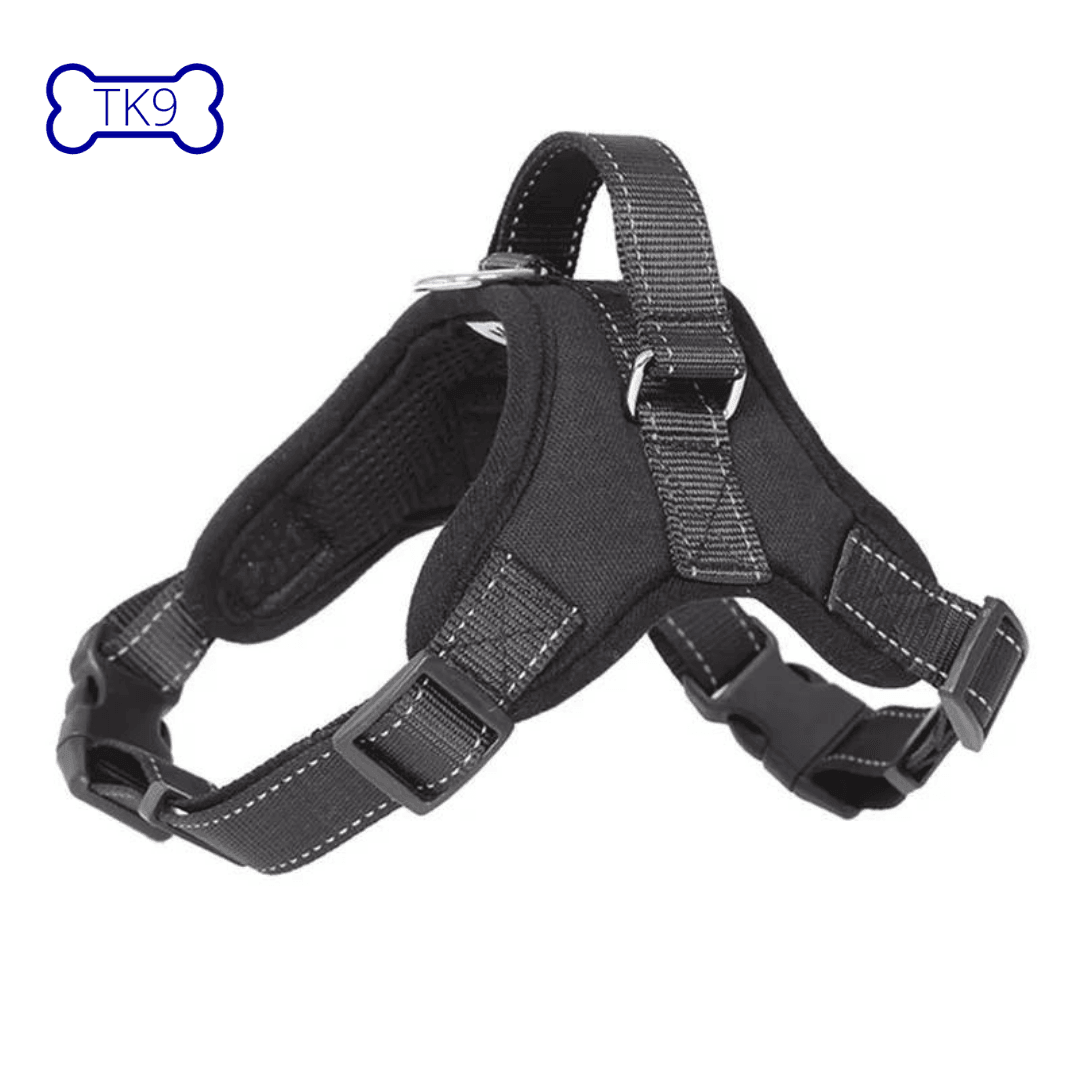 Light harness - all breeds