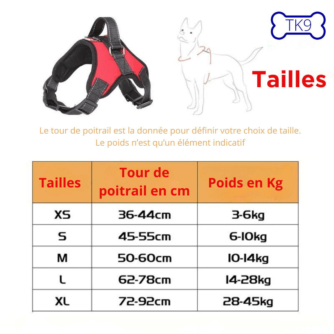 Harnais léger - toutes races - Tao-K9