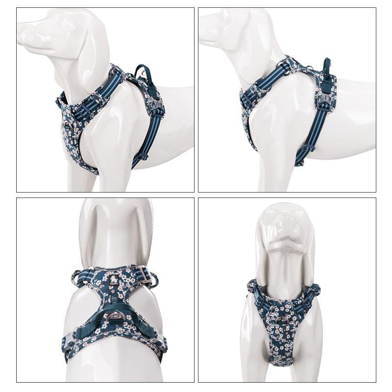 Harnais TrueLove - Collection Fleurs - Anti traction - Tao-K9