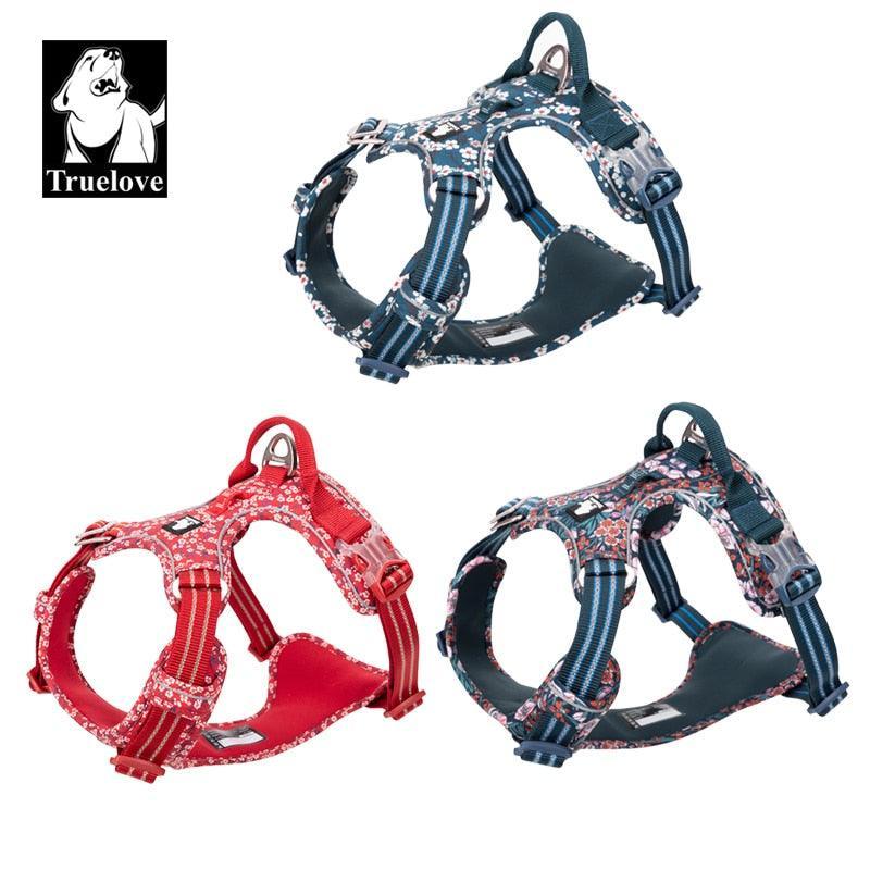 Harnais TrueLove - Collection Fleurs - Anti traction - Tao-K9