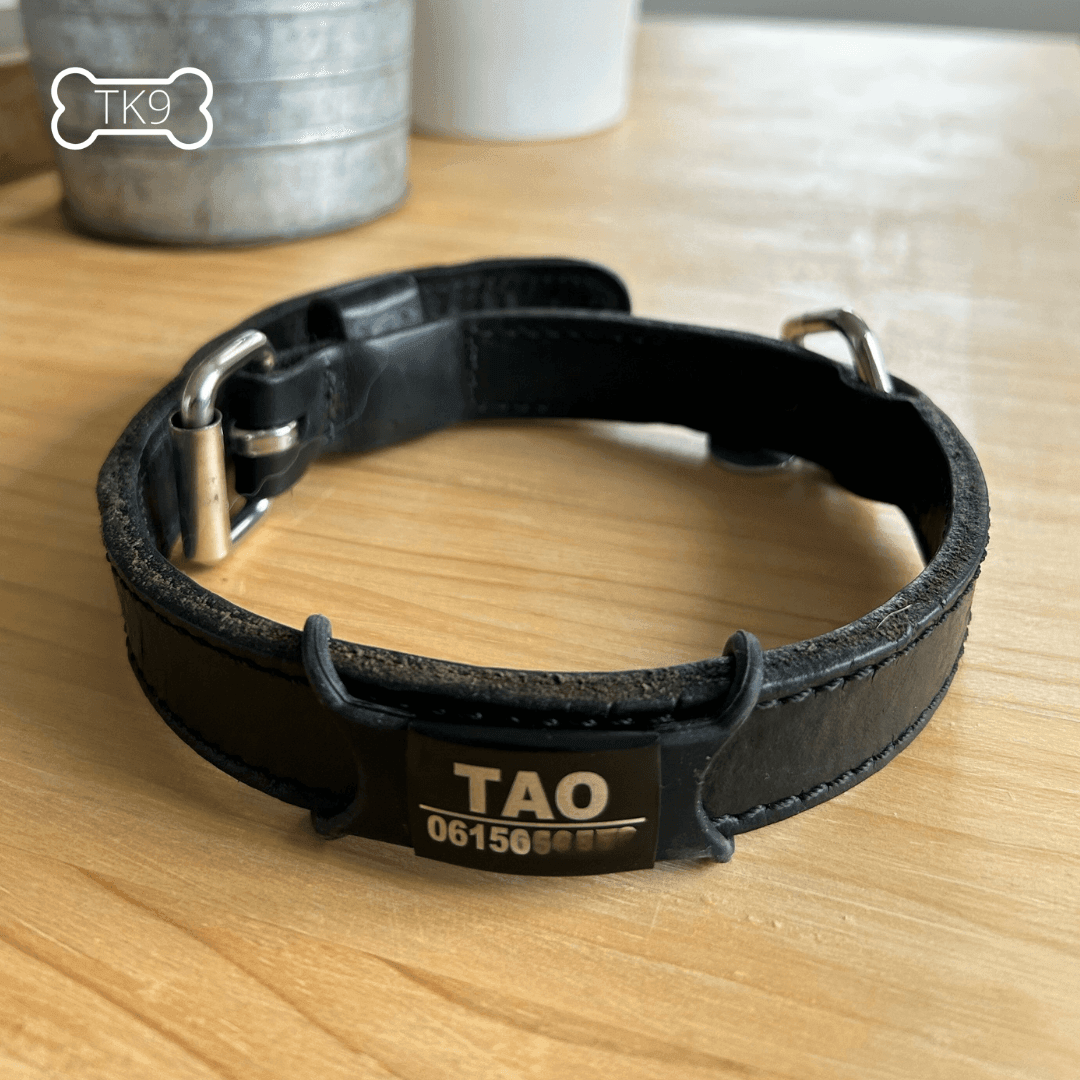 Identification en Acier Inoxydable – Gravure Personnalisée Offerte - ID Tag - Tao-K9