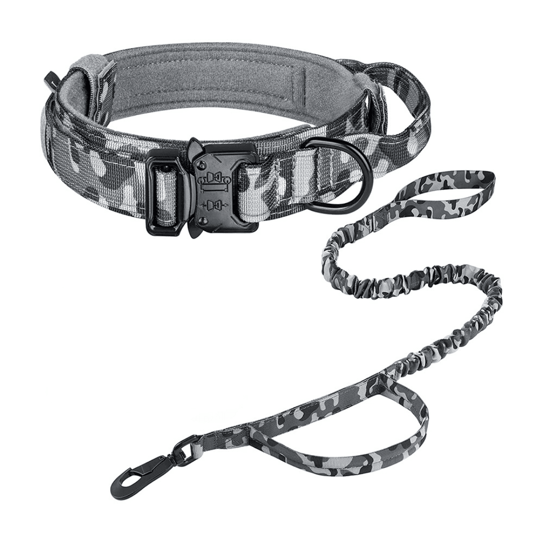Laisse + Collier tactique - Tao-K9