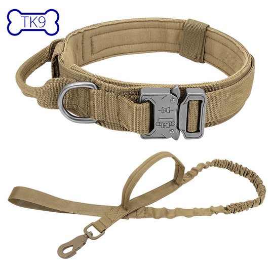 Laisse + Collier tactique - Tao-K9