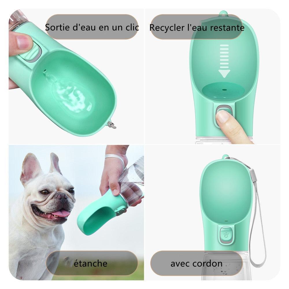 Pad 3 - Gourde Petits Chiens 350ml - Tao-K9