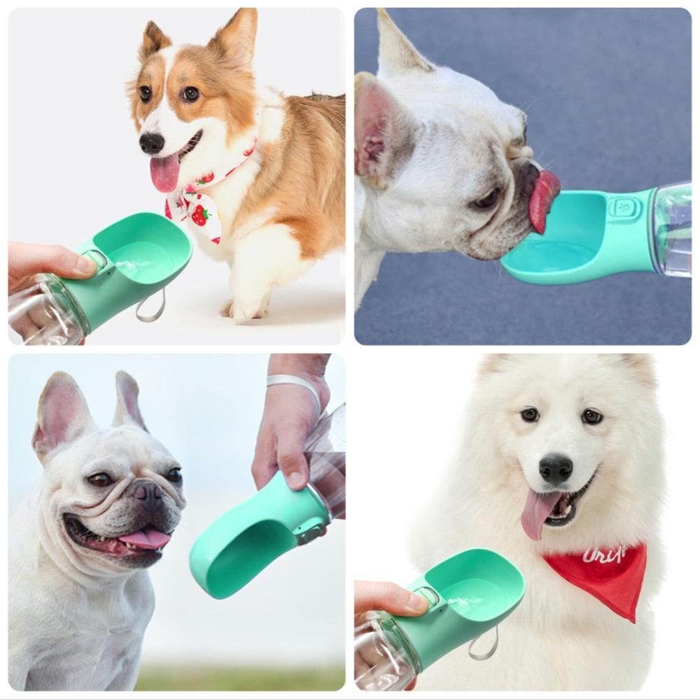 Pad 3 - Gourde Petits Chiens 350ml - Tao-K9