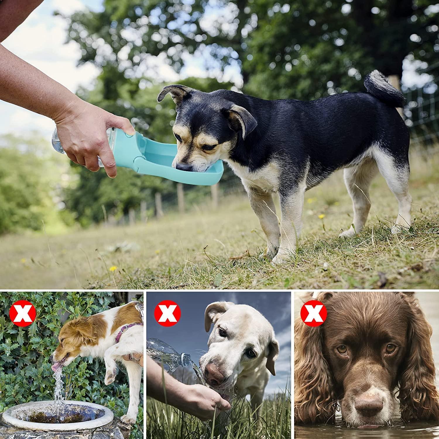 Pad 4 - Gourde pour Chien 350 et 550ml - Tao-K9