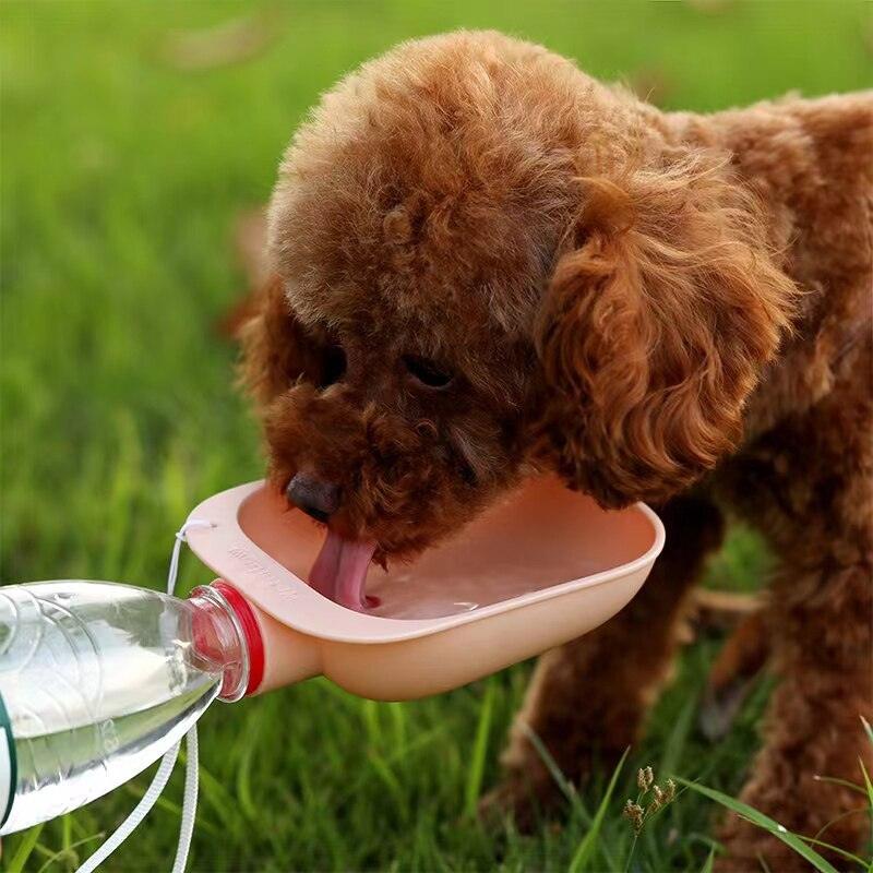 Pad 5 - Gourde pour Chiens - Tao-K9