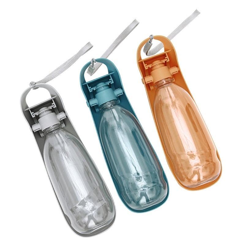 Pad - Gourde pour Chiens - Tao-K9