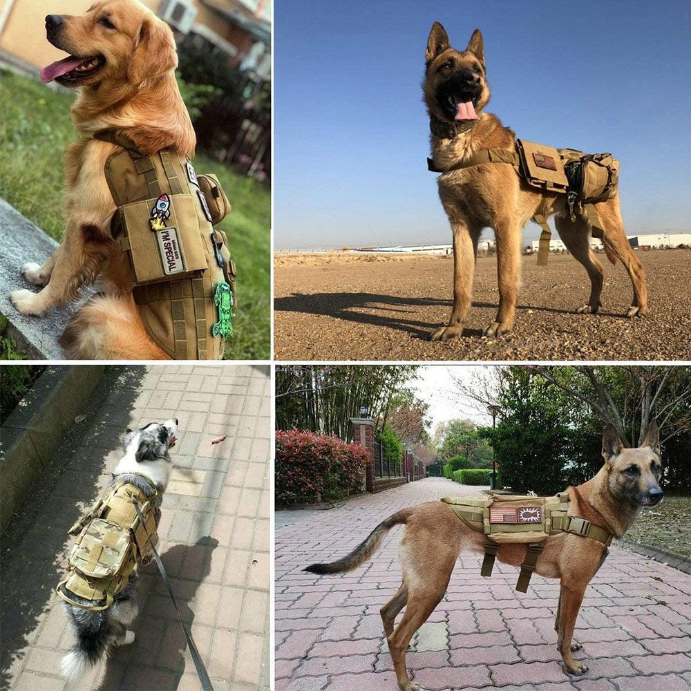 Patchy - K9 Tactical Patch - Tao-K9