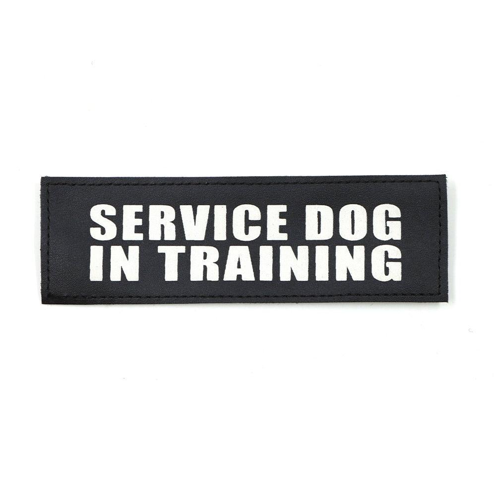 Patchy - K9 Tactical Patch - Tao-K9