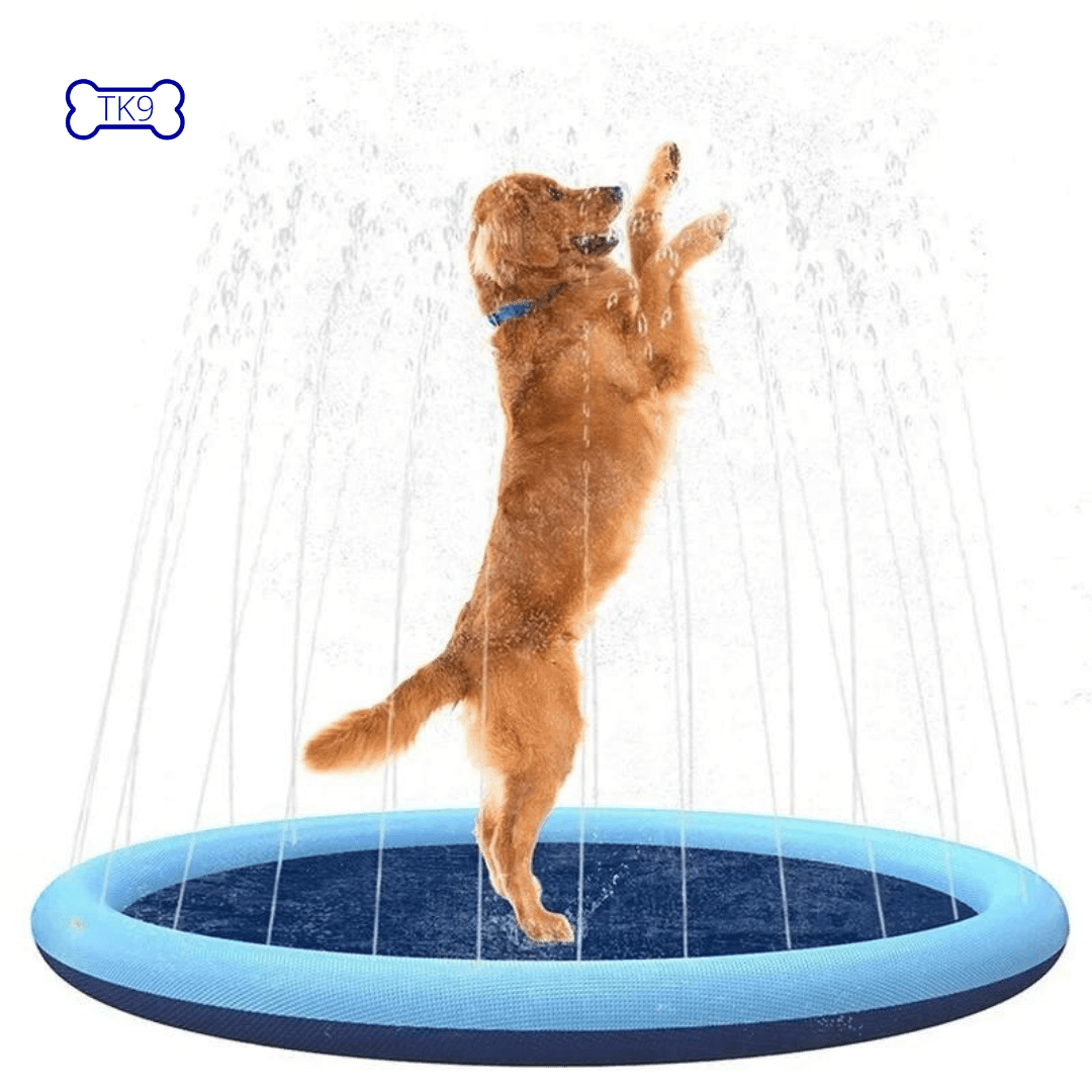 Piscine à jets pour chien - fonds anti dérapant - 100 à 170 cm de diamètre - Tao-K9