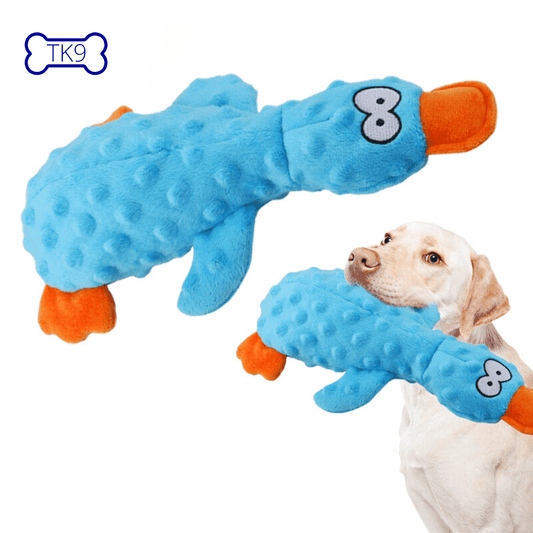Rony - Jouets Interactifs en Peluche en Forme de Canard - Tao-K9