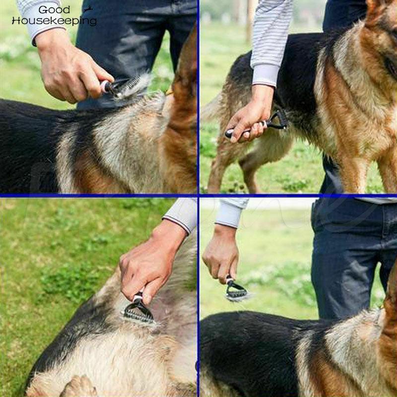 Brosse de toilettage pour chiens - Tao-K9