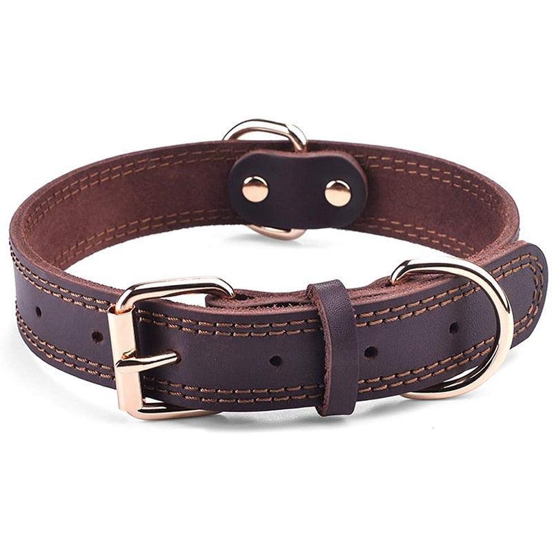 Collier en cuir - Tao-K9
