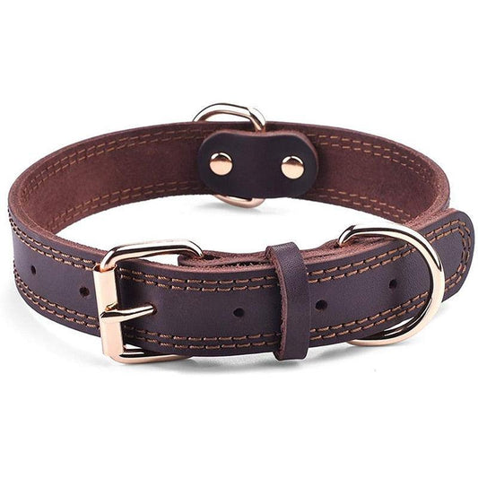 Collier en cuir - Tao-K9