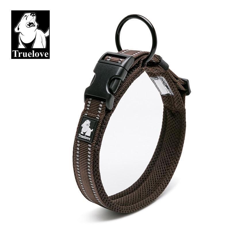 Collier réfléchissants toutes tailles - Tao-K9
