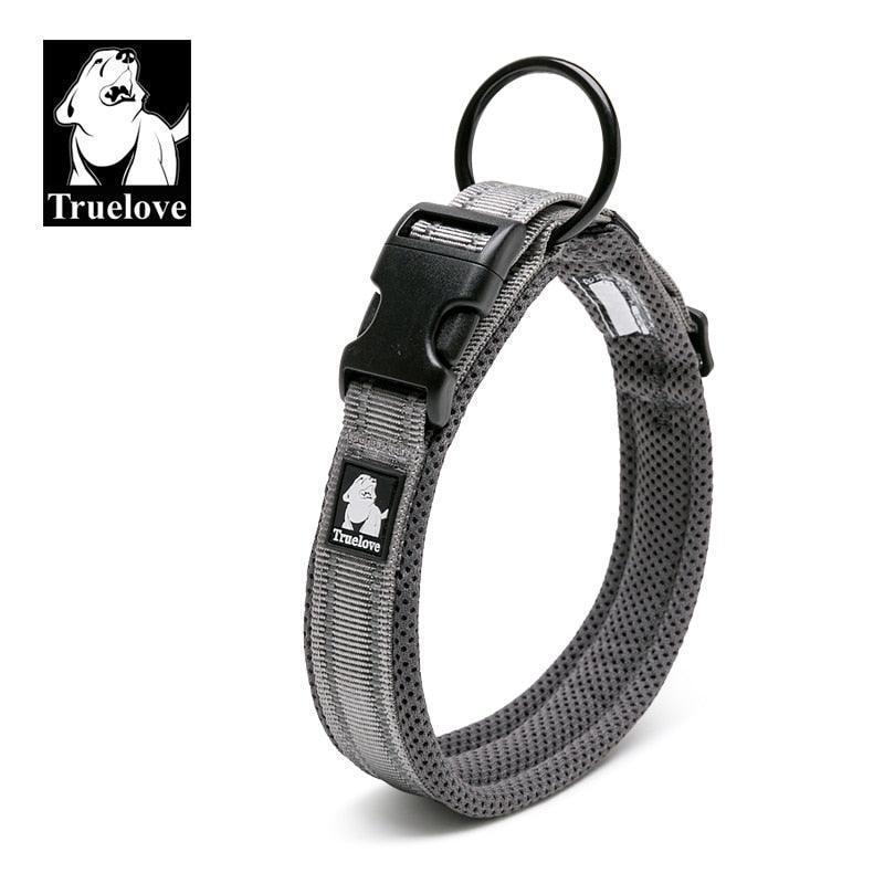 Collier réfléchissants toutes tailles - Tao-K9