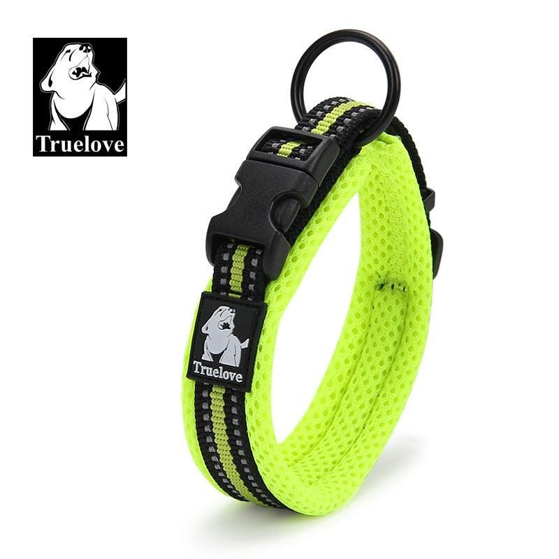 Collier réfléchissants toutes tailles - Tao-K9