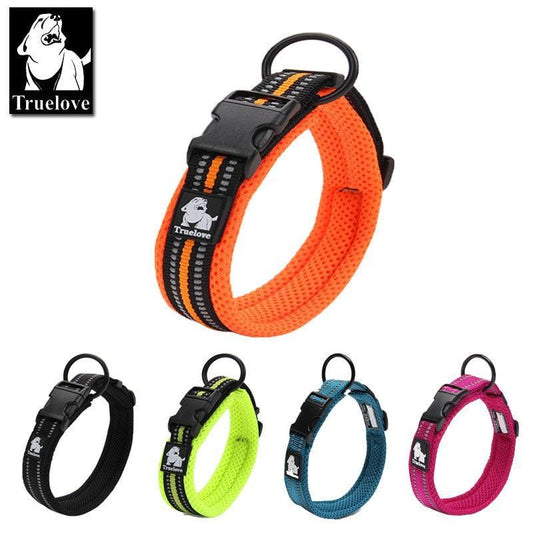 Collier réfléchissants toutes tailles - Tao-K9