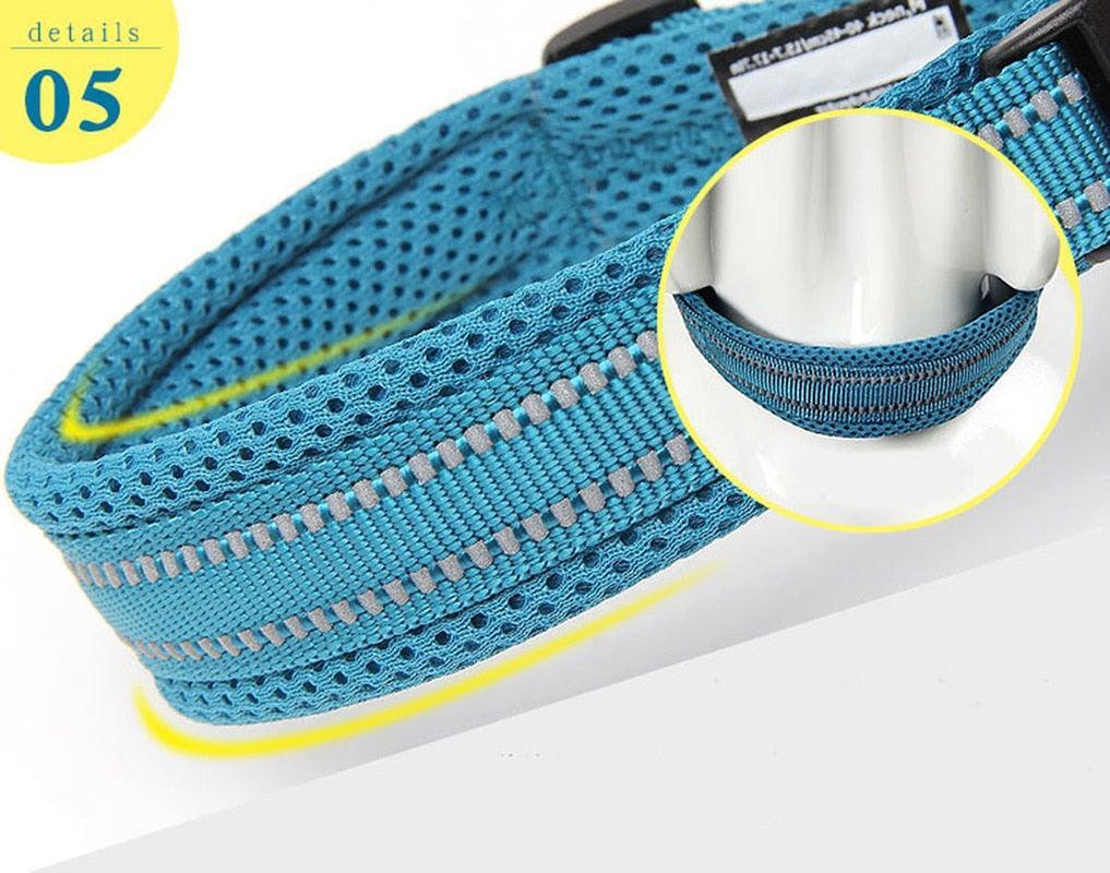 Collier réfléchissants toutes tailles - Tao-K9