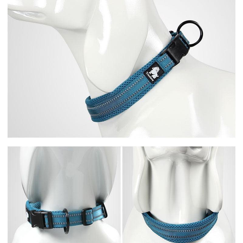 Collier réfléchissants toutes tailles - Tao-K9