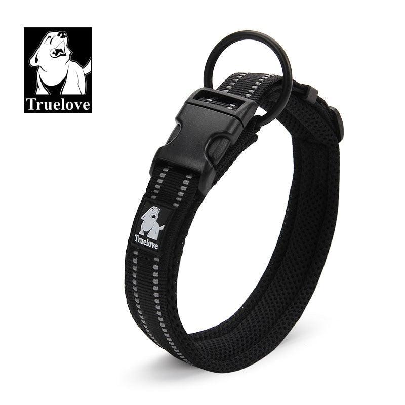 Collier réfléchissants toutes tailles - Tao-K9