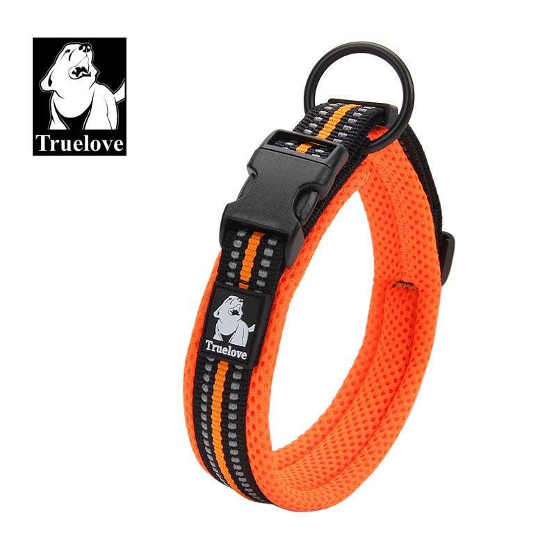Collier réfléchissants toutes tailles - Tao-K9