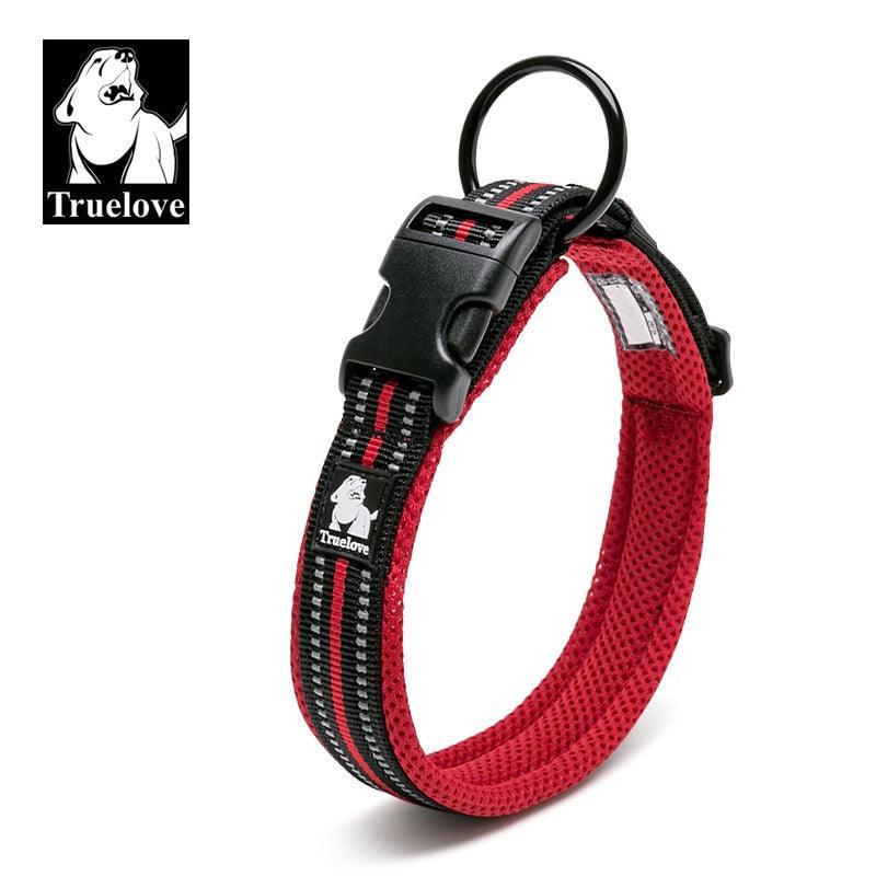 Collier réfléchissants toutes tailles - Tao-K9